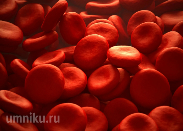 Какой резус фактор лучше – при переливании, беременности и наследовании?