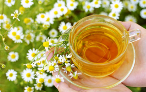 Если на лице близко расположены сосуды - Все про гипертонию