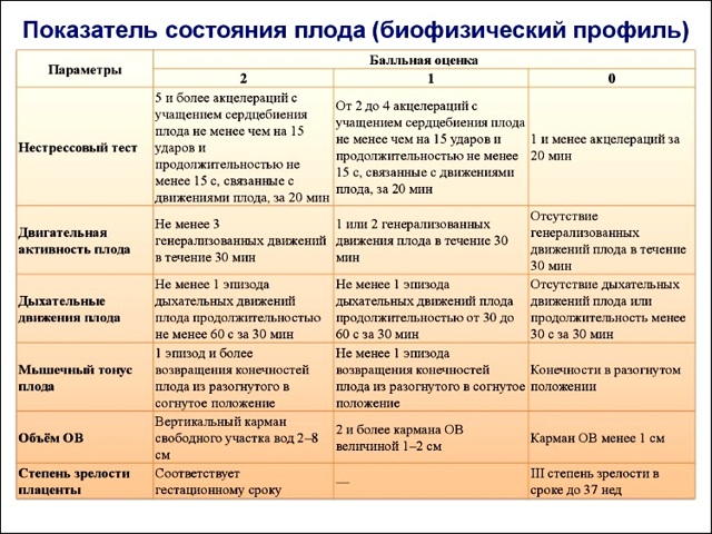Когда начинает биться сердце у эмбриона