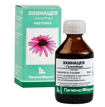 Эхинацея: инструкция по применению для таблеток и экстрактов, в чем разница между капсулами и каплями