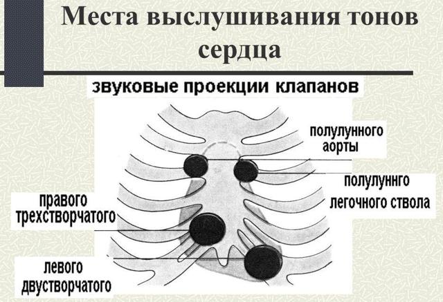 Аускультация - это что такое в медицине? — OneKu