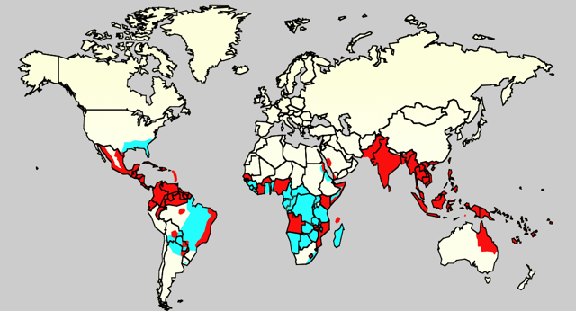 Вирус Зика - причины, симптомы и лечение Zika virus