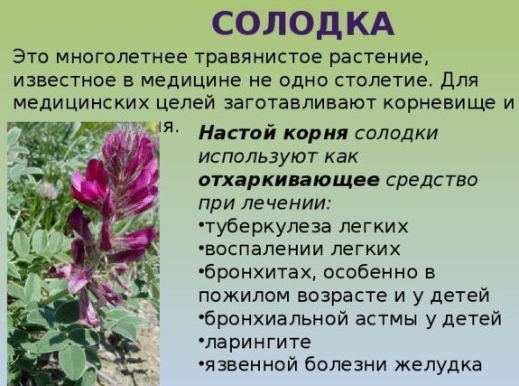 Линкас сироп от кашля: инструкция по применению