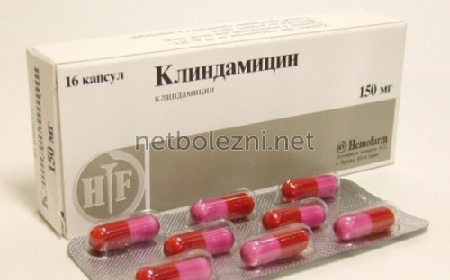 Золотистый стафилококк у детей и взрослых, симптомы и лечение