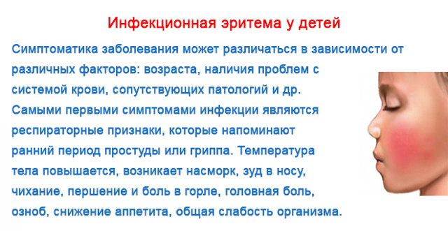 Эритема у детей и взрослых: симптомы, фото, лечение