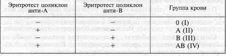 Определение группы крови по цоликлонам: как проводят, расшифровка результатов