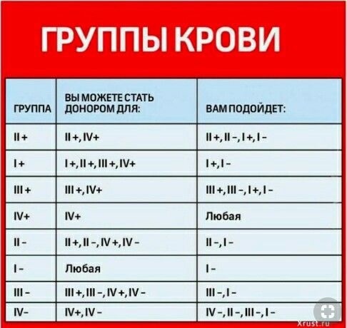 Группы крови: виды, совместимость, универсальная группа крови
