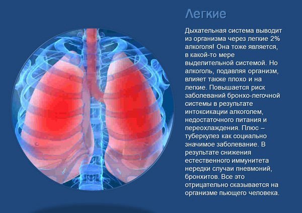 Сердце алкоголика и влияние алкоголя на него