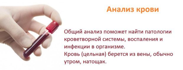 Как сдавать анализ ХГЧ — натощак или нет и другие требования
