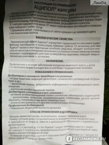 Аципол - инструкция по применению для детей и взрослых, как принимать аципол?