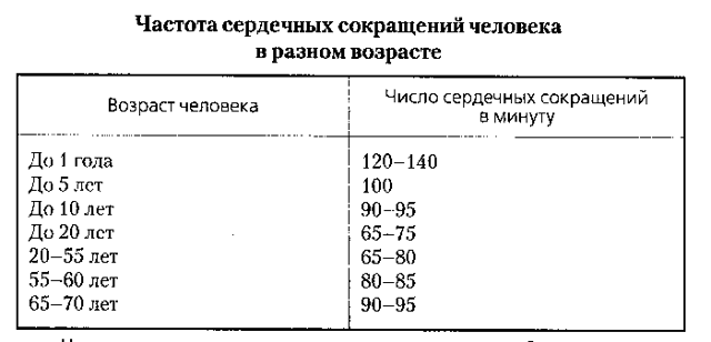 Характеристика пульса: основные показатели нормы