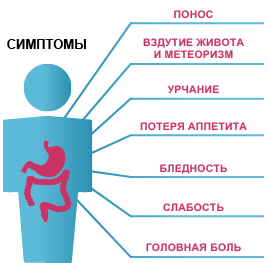 Дисбактериоз кишечника: симптомы и лечение у взрослых