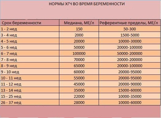 Виды анализов крови на гормоны: какой анализ сдать и когда?