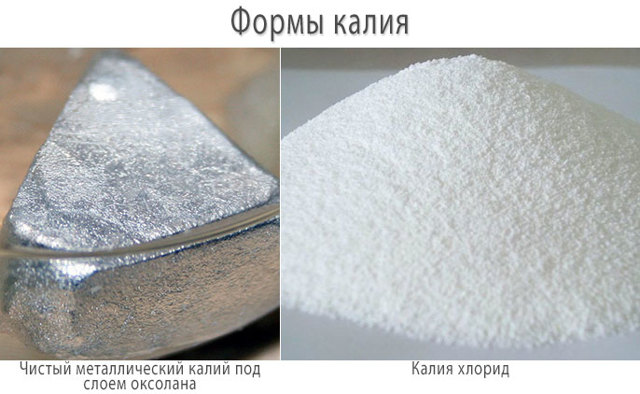 Калий — роль в организме, показания к применению, противопоказания, пищевые источники калия