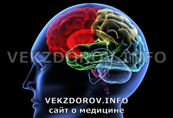 Асимметрия боковых желудочков мозга у детей и взрослых