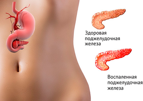 Норма амилазы в крови у взрослого