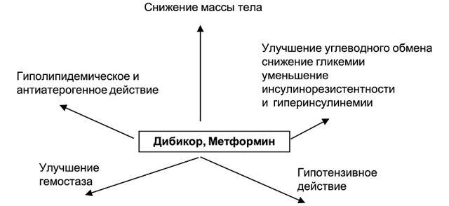 ИНСТРУКЦИЯ по медицинскому применению препарата ДИБИКОР® - Дибикор
