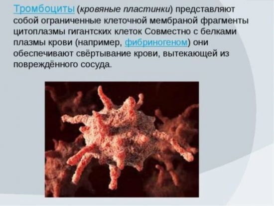 Что означает pdw в анализе крови и методы расшифровки