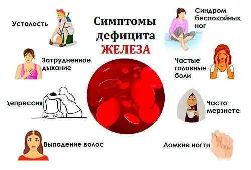 Гемоглобин у женщин – норма, повышенный и низкий гемоглобин у женщин