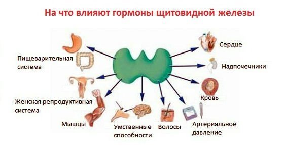 Нижнее давление 100 - что это значит, как снизить и причины