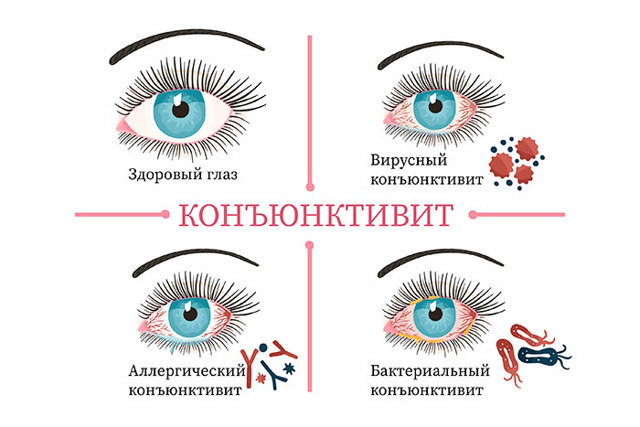 Полудан – инструкция по применению, дозы, показания