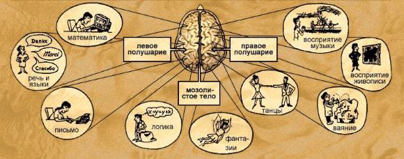 Левосторонний гемипарез после инсульта симптомы - Последствия инсульта