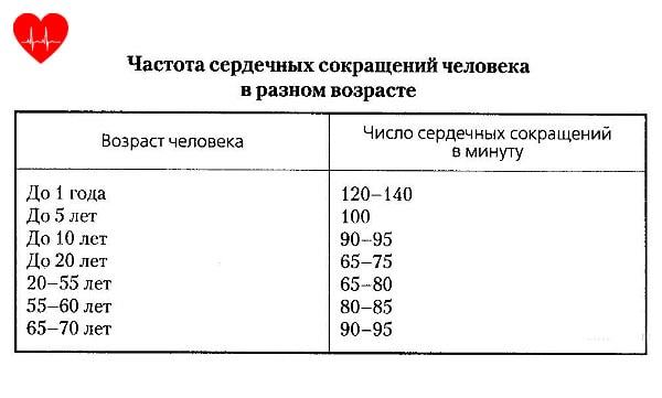 Какой должен быть пульс у здорового человека в разных условиях