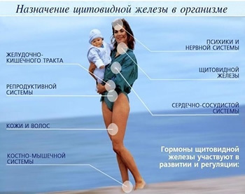 Виды анализов крови на гормоны: какой анализ сдать и когда?