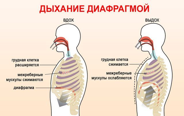 Физические упражнения при стенокардии сердца