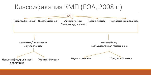 Кардиомиопатия сердца: симптомы и лечение
