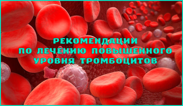 Тромбоциты повышены у взрослого - причины и лечение у мужчин и женщин