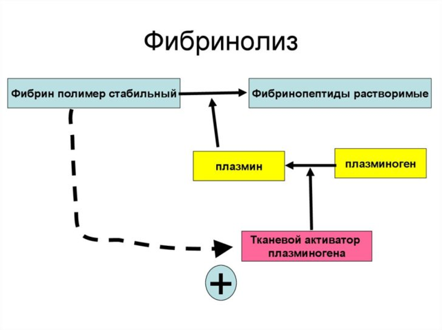 Анализ на свертываемость крови