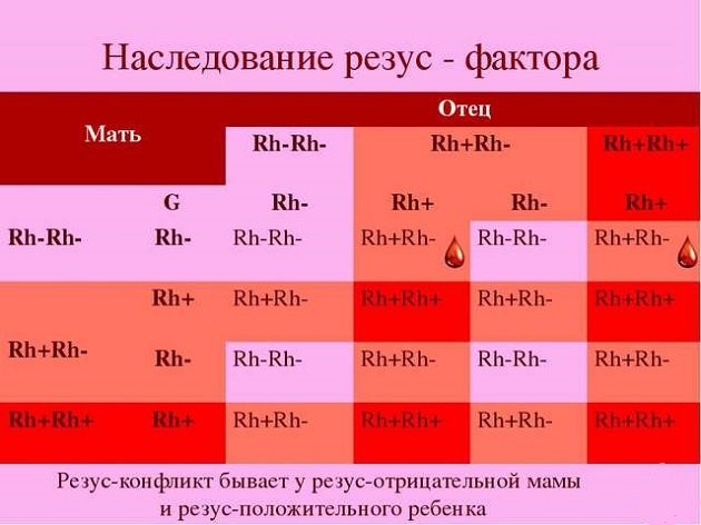 Четвертая положительная группа крови: характеристика