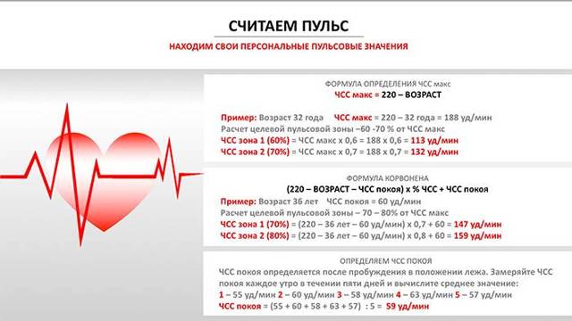 Как должно биться здоровое сердце