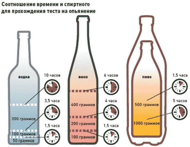 Сколько держится алкоголь в крови: срок вывода, советы
