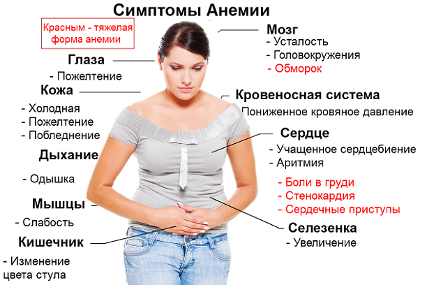 Гемоглобин у женщин – норма, повышенный и низкий гемоглобин у женщин