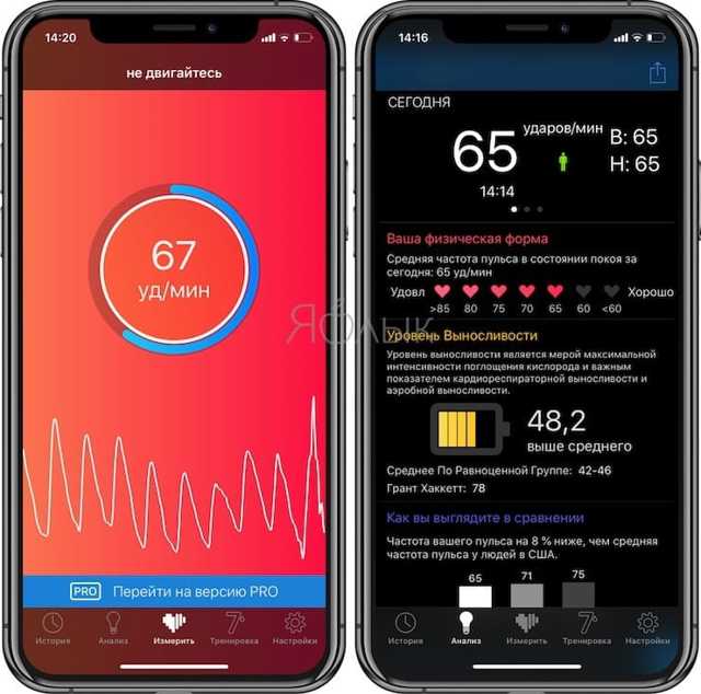 Какой должен быть пульс у здорового человека в разных условиях