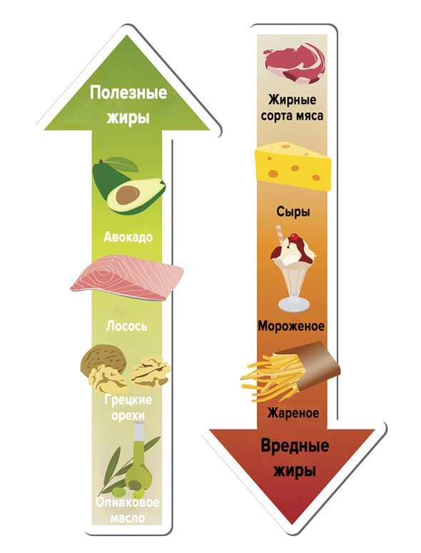 Холестерин плохой и хороший - опасность и норма у женщин