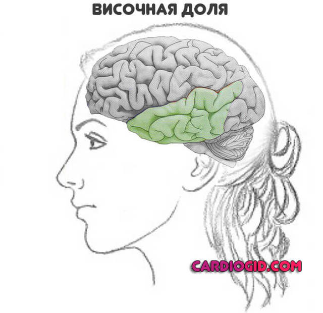 Предпосылки инсульта головного мозга у женщин - как избежать инсульта у женщин