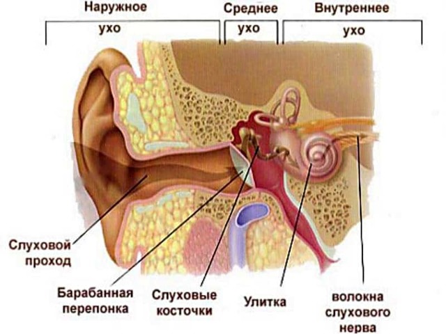 От чего бывает шум в голове