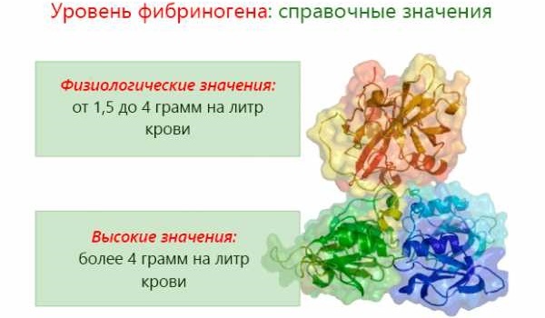 Фибриноген выше нормы – что это значит, что это такое, что делать? Фибриноген в крови – норма у женщин