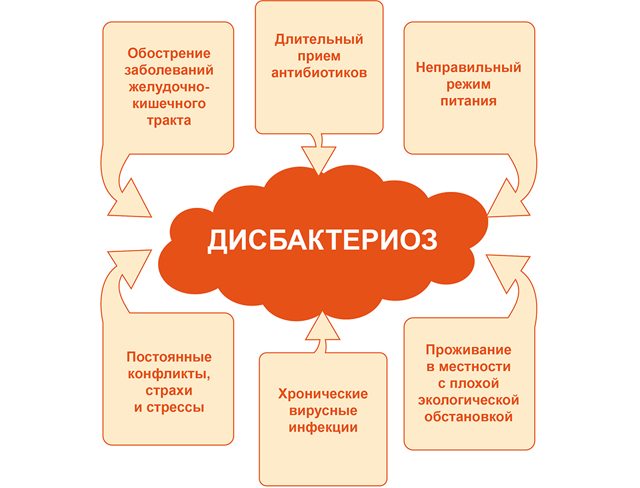 Дисбактериоз кишечника: симптомы и лечение у взрослых