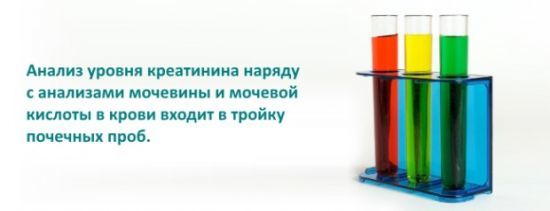 Креатинин в крови повышен: причины отклонения от нормы и способы снижения уровня креатинина