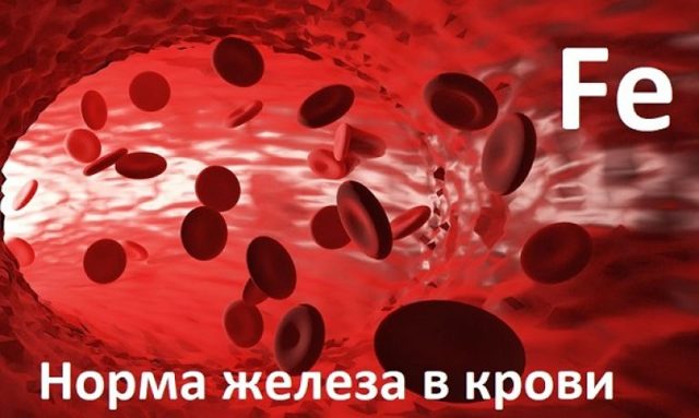 Какая должна быть норма железа в крови для правильной работы организма?