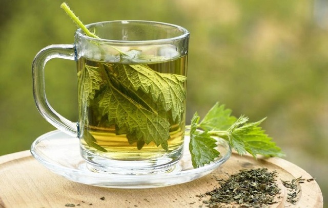 Народные средства от тромбофлебита нижних конечностей: травы, мед, лечение в домашних условиях