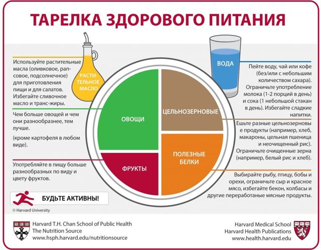 ВСД и жара (вегето-сосудистая дистония)