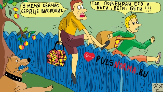 Какой должен быть пульс при беге
