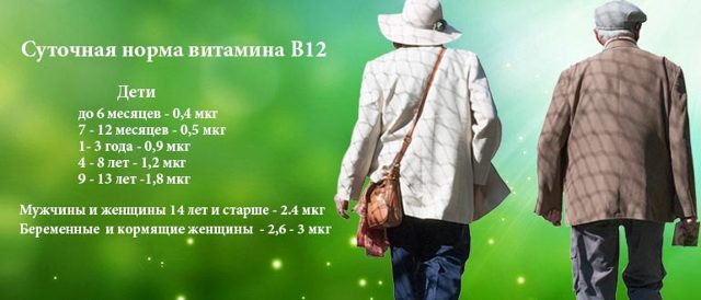 Анализ крови на витамин B12: норма у женщин и мужчин, причины повышения и снижения уровня