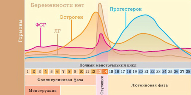 Пссг гормон что это такое - Про щитовидку