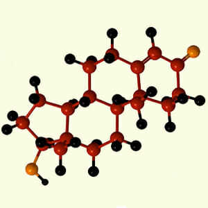 Гормон ФСГ в крови - Повышенный гормон ФСГ у женщин в лаборатории Lab4U